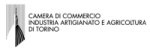 link al sito della CCIIAA di Torino